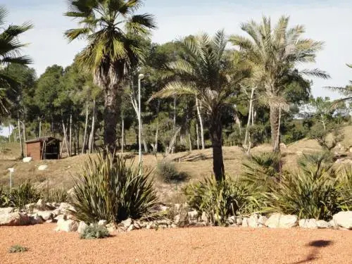 Golden Pineda - Général