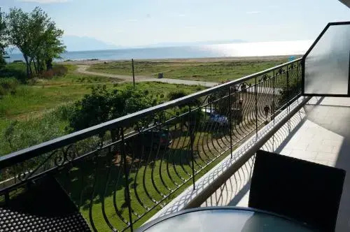 Balcony & Terrace