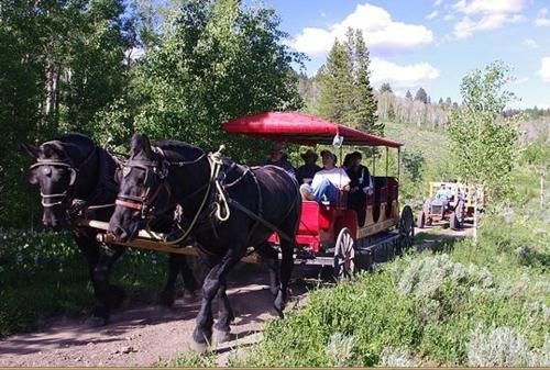Parade Rest Guest Ranch — 5