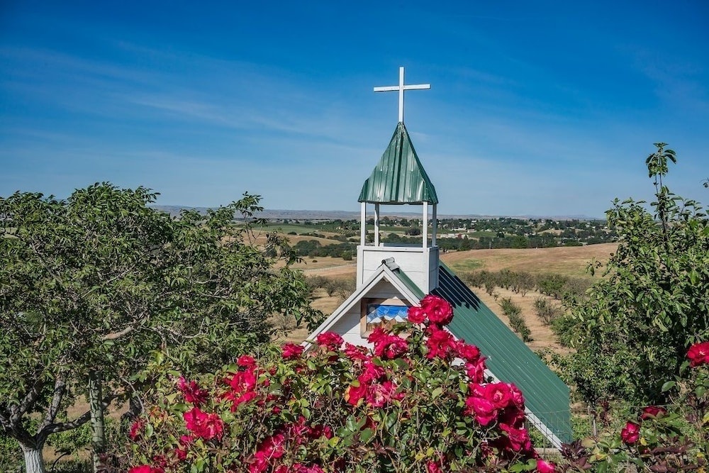 Hidden Acre Vineyard — 2