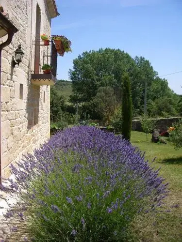 La Ondina - Général