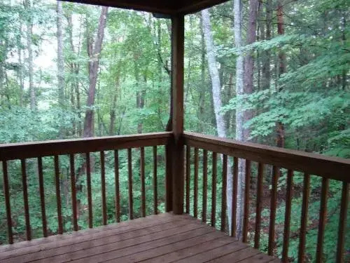Into the Wild Cabin - 2 Br Cabin