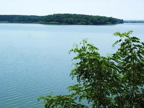 Buxusson Resort
