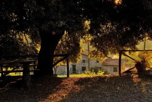 Agriturismo giandriale - Général