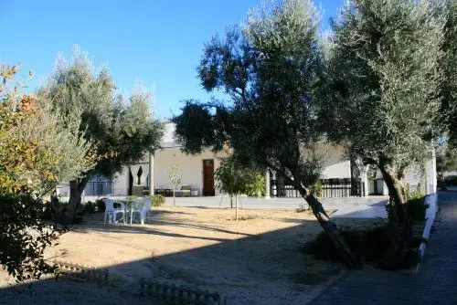 Casa Las Olivas