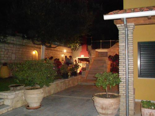 Image 11