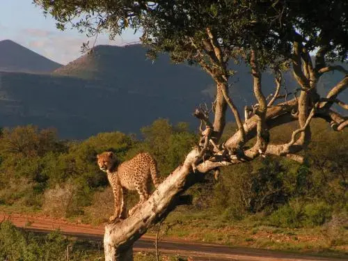 Samara Private Game Reserve