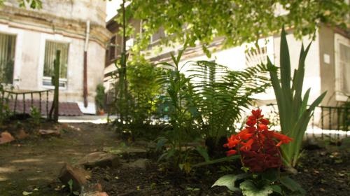 Dream Hostel Odessa