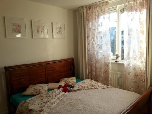 Blauwe gans homestay