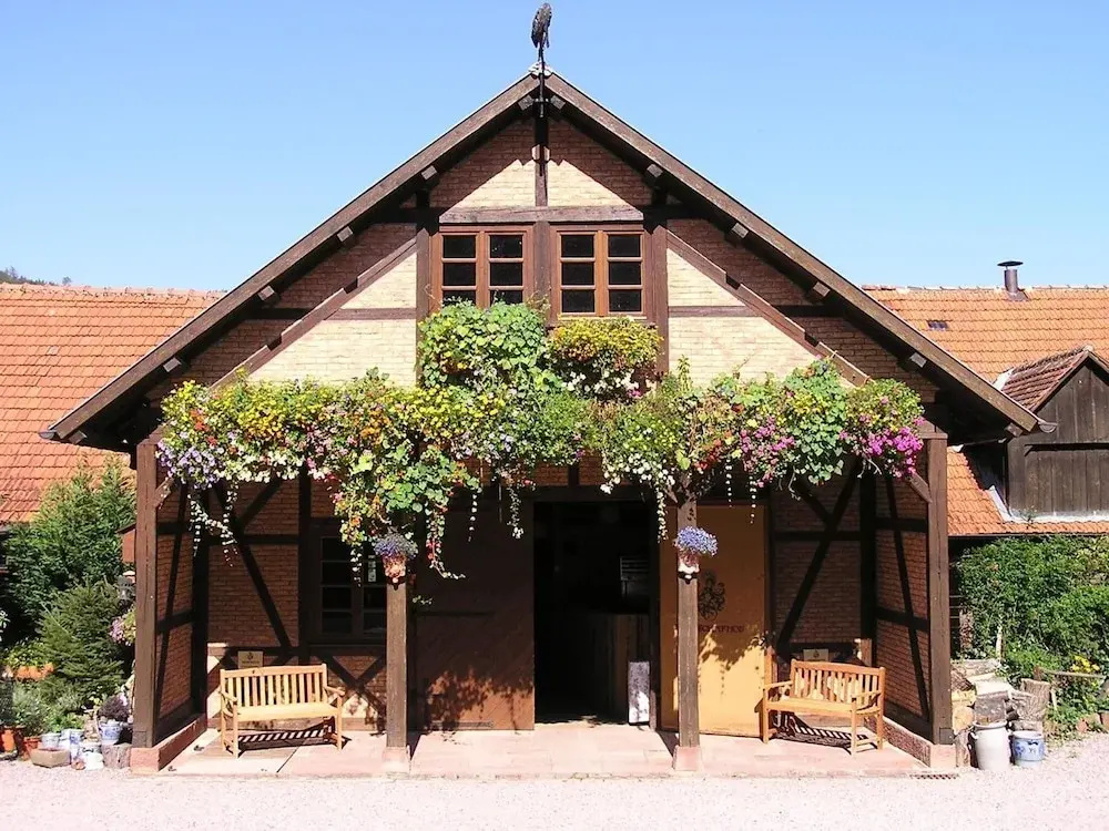 Hotel Der Schafhof Amorbach - Général