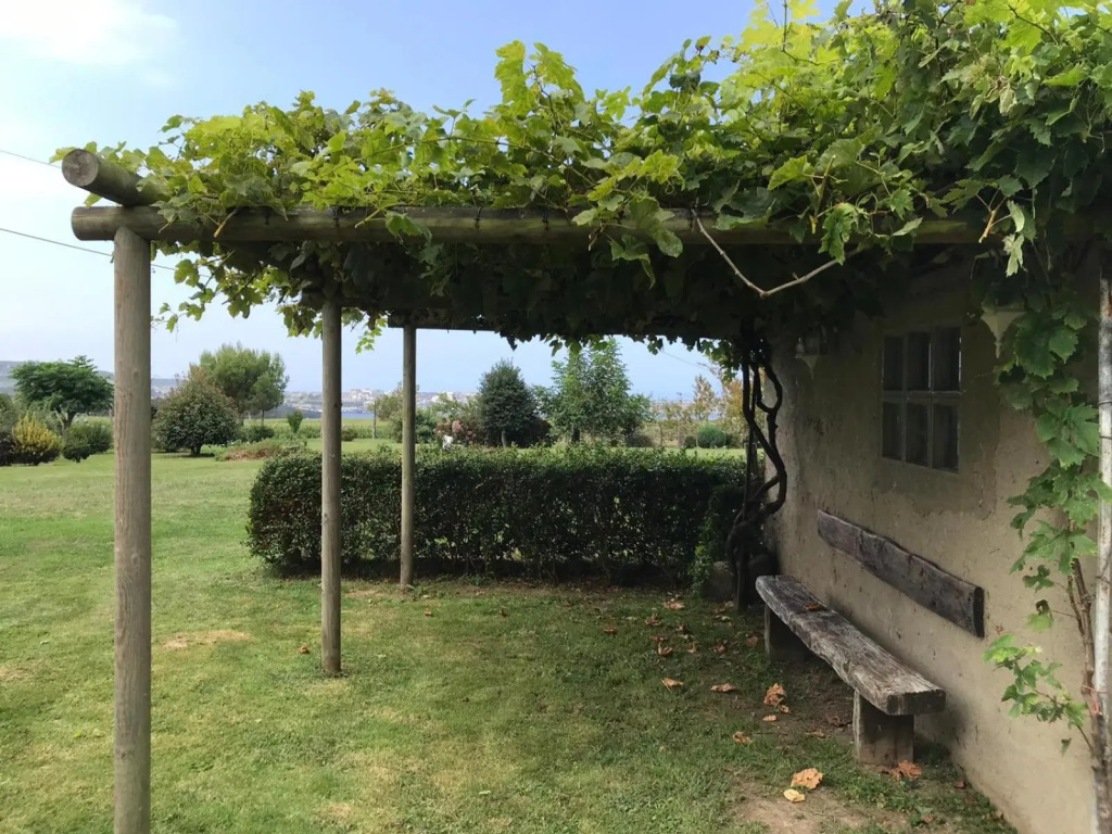 Apartamentos El Campo