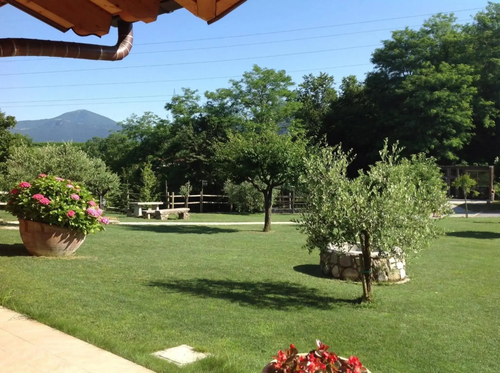 Hotel photo 31