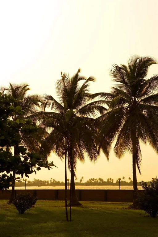 Beach & Waterfront