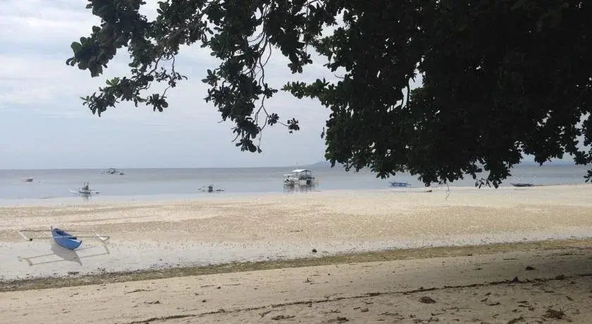 Beach & Waterfront