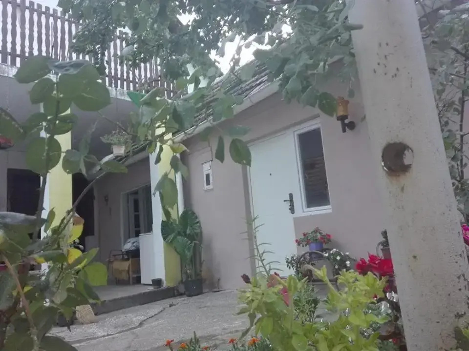 Apartman Andjela 1
