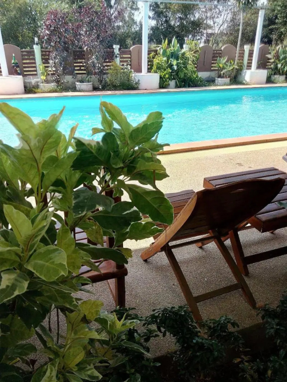 Peace Pool Resort