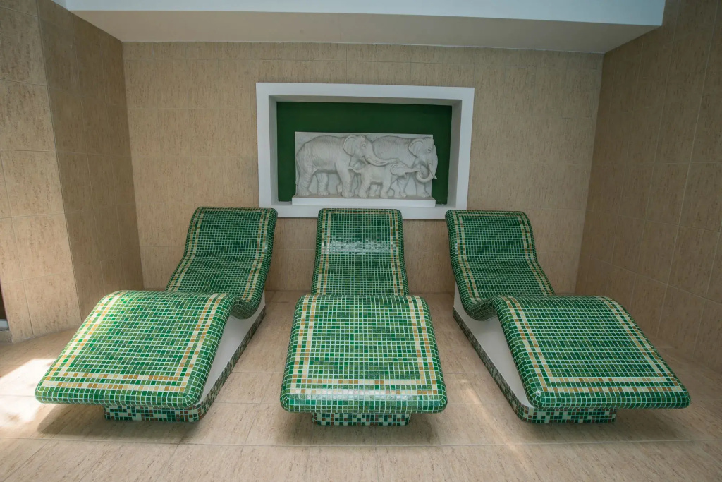 Mercure Medias Binderbubi Hotel And Spa - Général