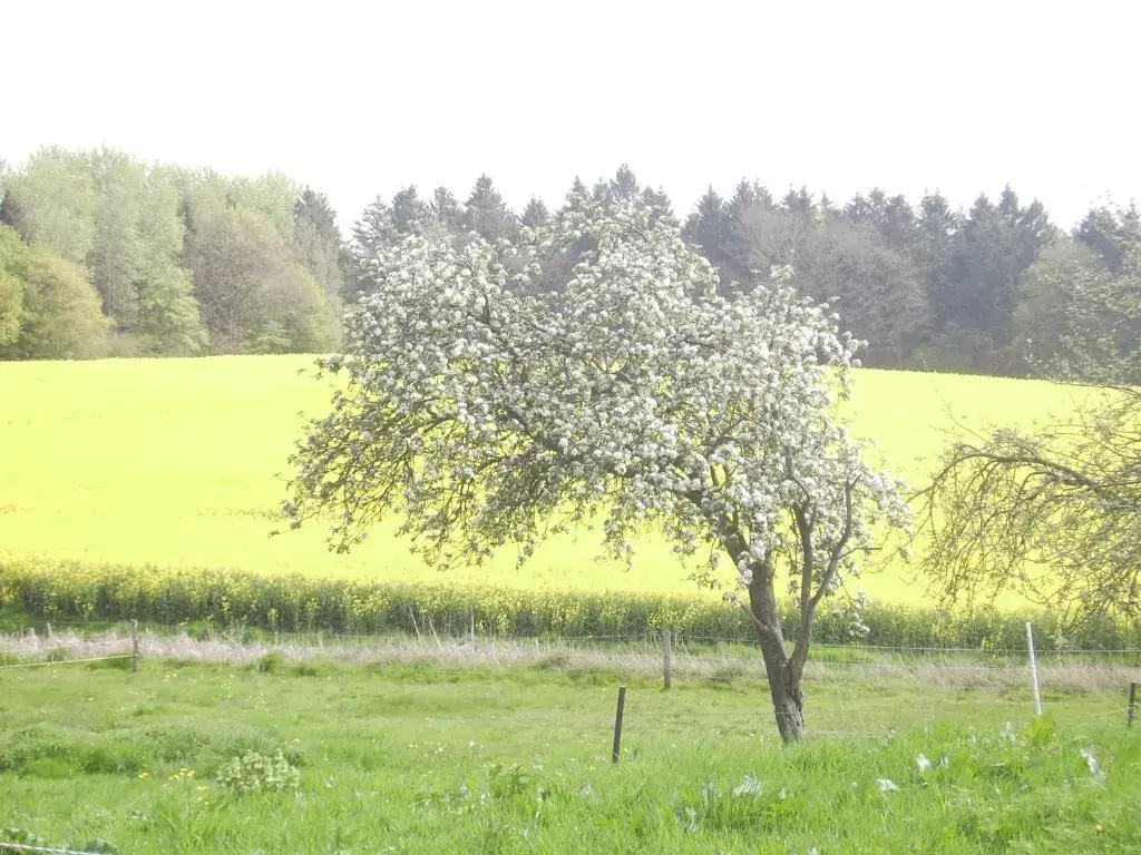 Hof Rodenkrog - Général