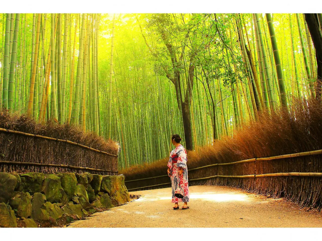 Rihga Place Kyoto Shijo Karasuma 사진 31