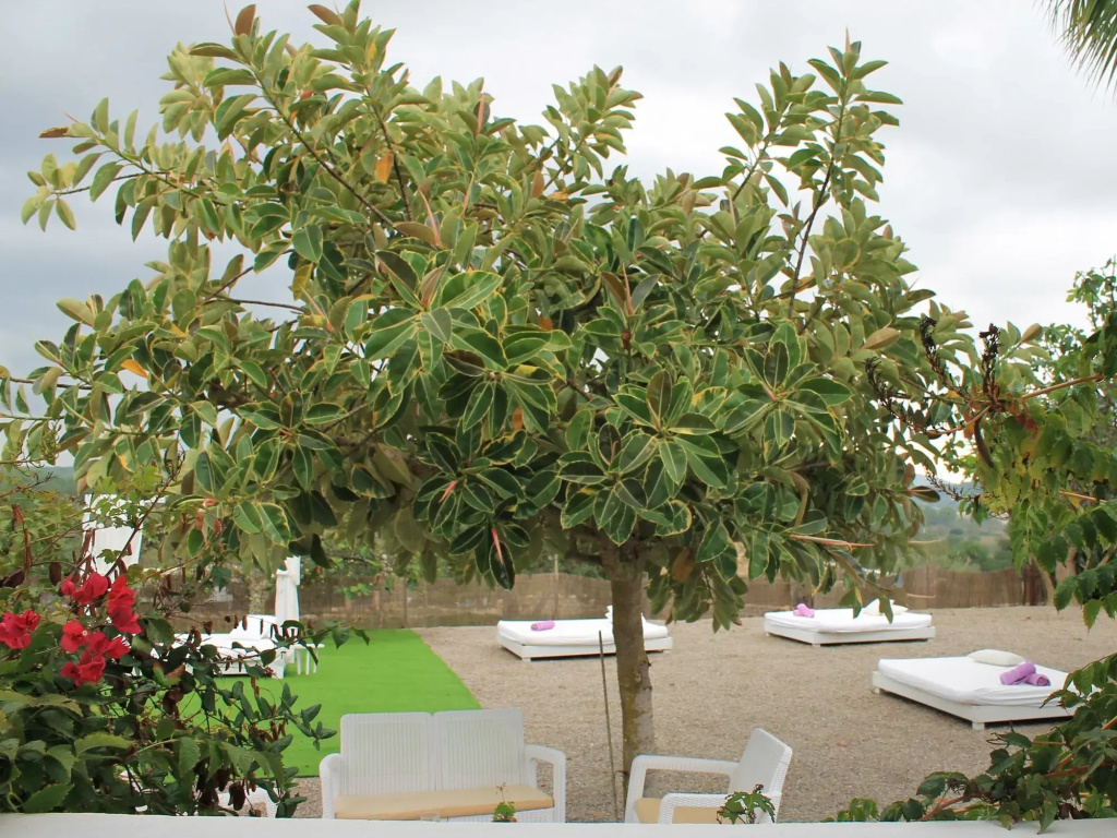 Agroturismo Can Cosmi Prats