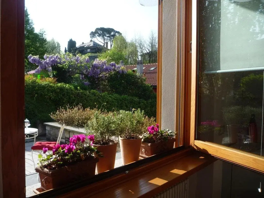 Balcony & Terrace