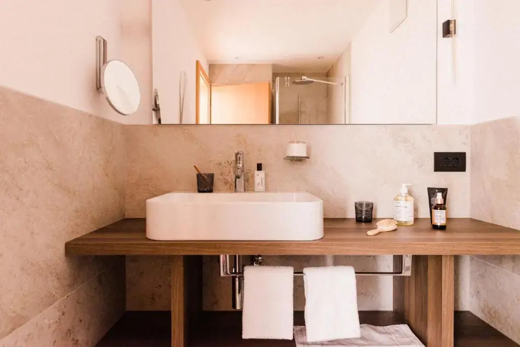 Standard Double room with mountain view (full double bed)