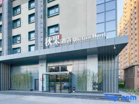 True Go Hotel (Beijing Lishuiqiao Metro Station) — фото