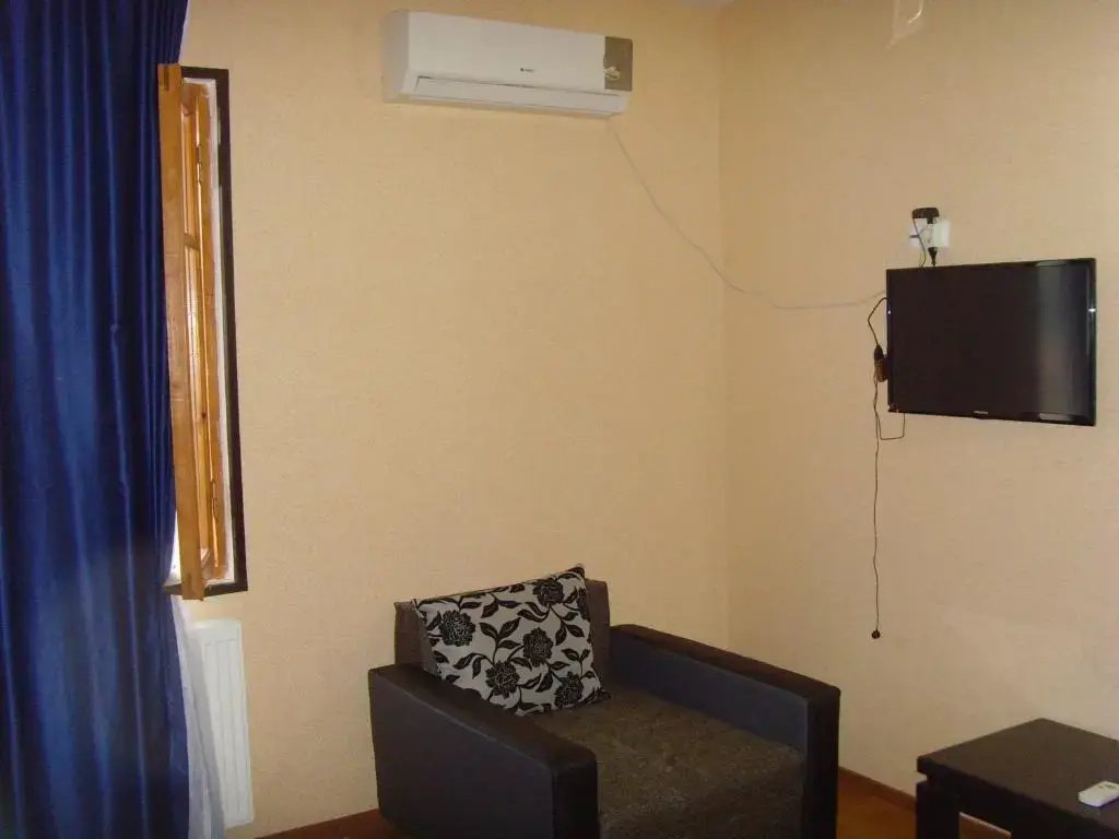 Standard Double room with mountain view (full double bed)