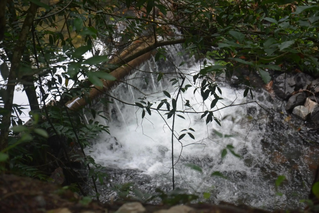 Park veredas flet 712.