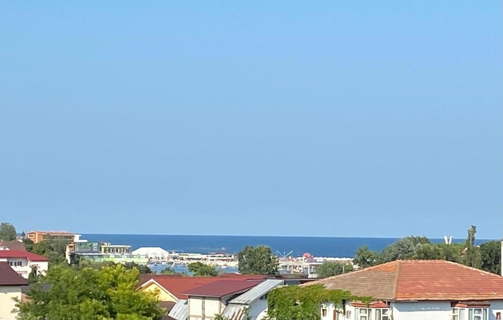 Image 12