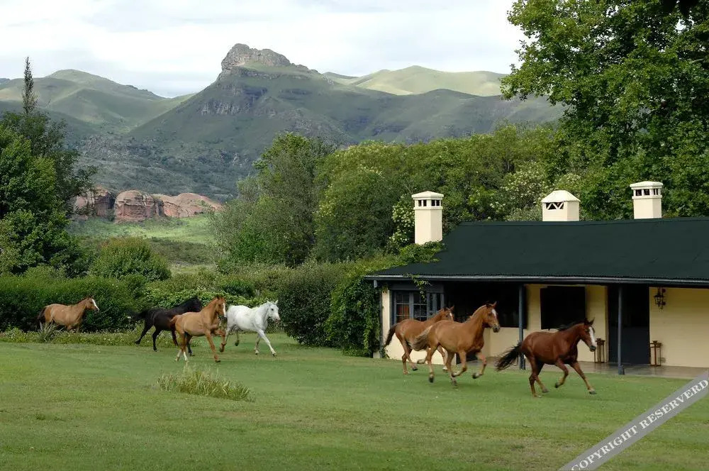 Dos Lunas Horse Riding Lodge