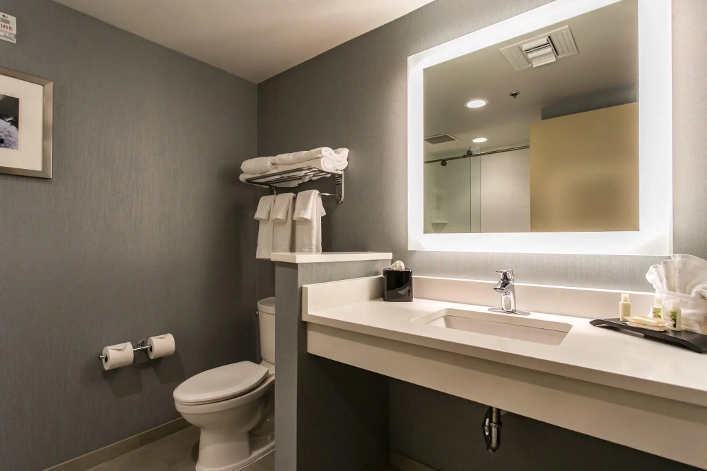 Holiday Inn Hotel & Suites Chattanooga Downtown by IHG - Chambres