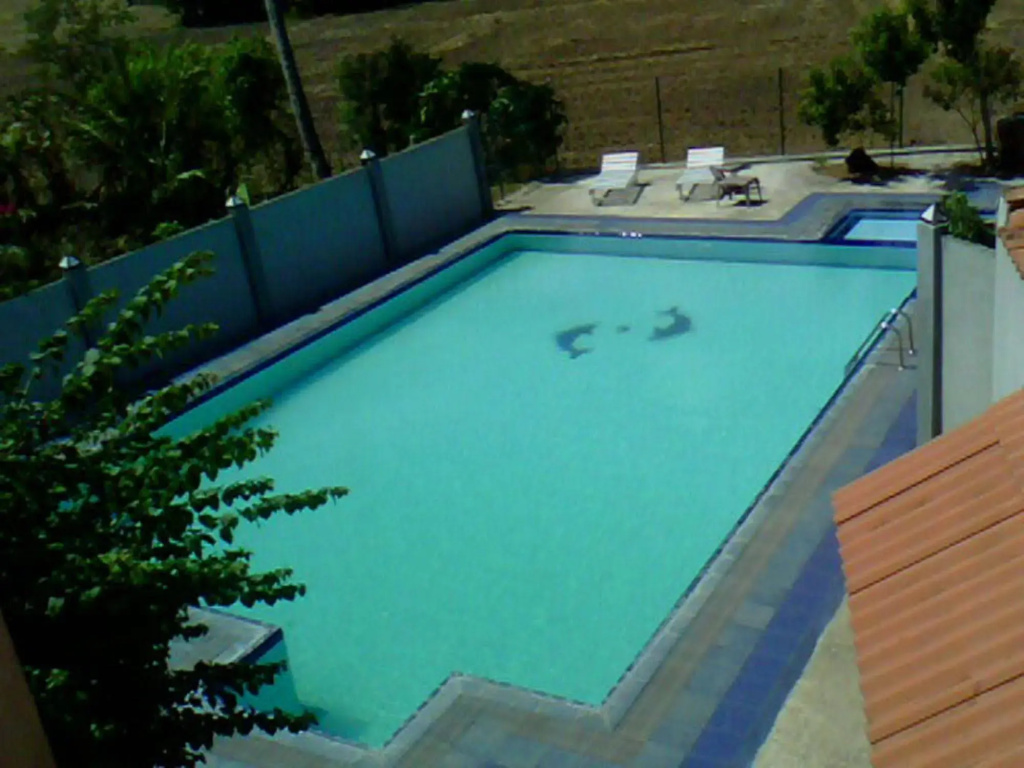 Samorich Hotel - Général