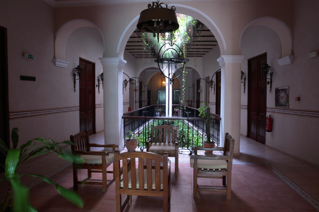 Image 7