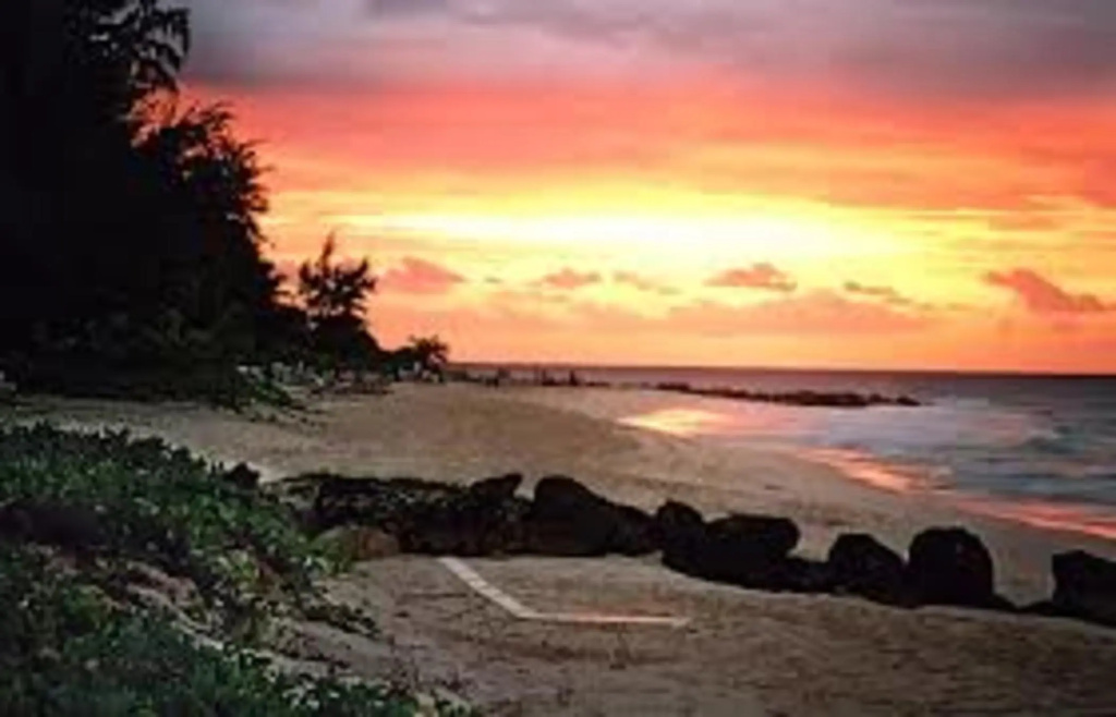 Beach & Waterfront