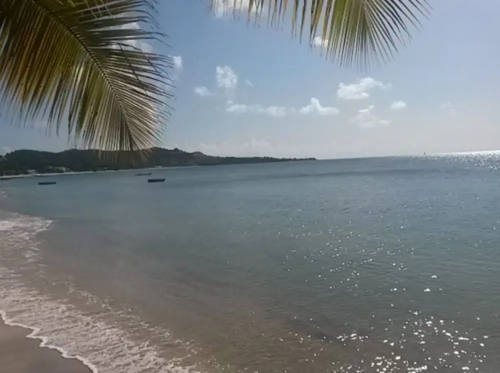 Beach & Waterfront