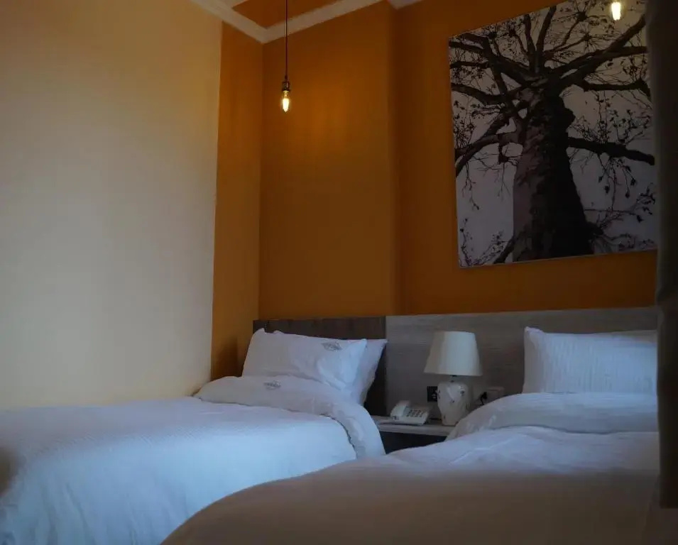 Standard Double room (twin beds)