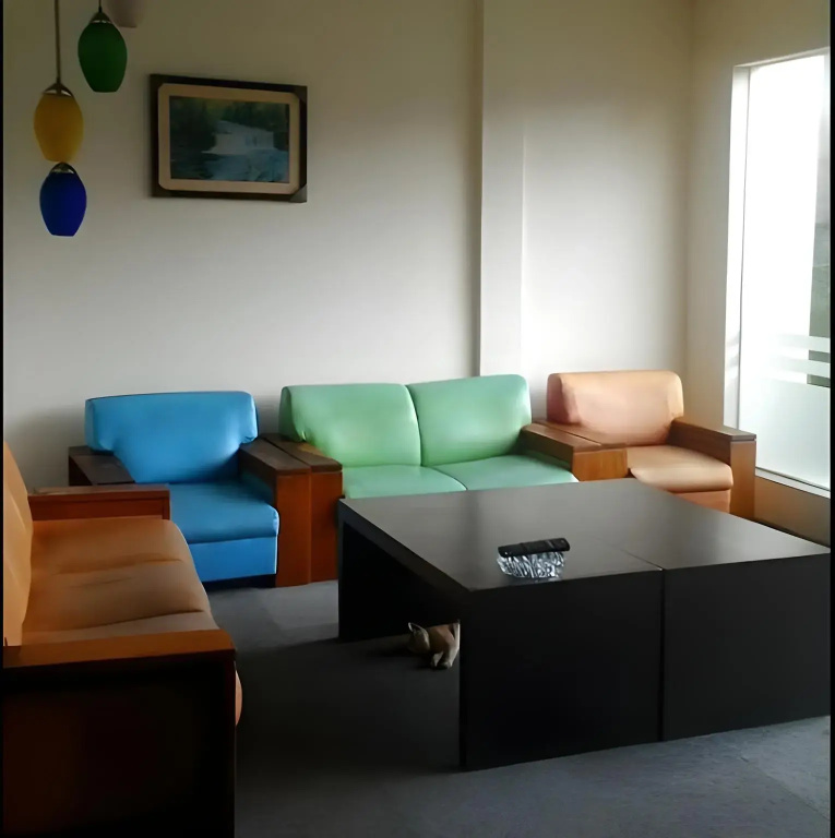 Hotel Bintang Solo - Général