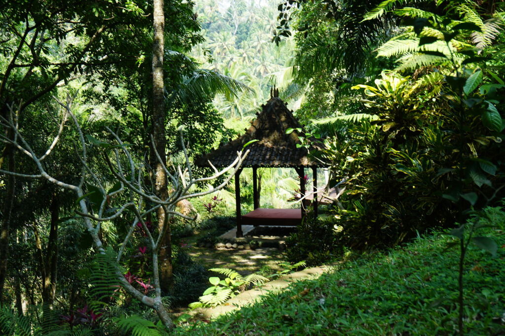 Ayung Resort Ubud