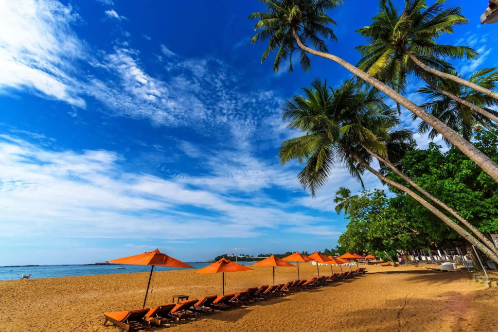 Calamander Unawatuna Beach - Général