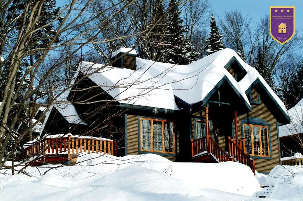 Chalet- 21 Chemin des Skieurs