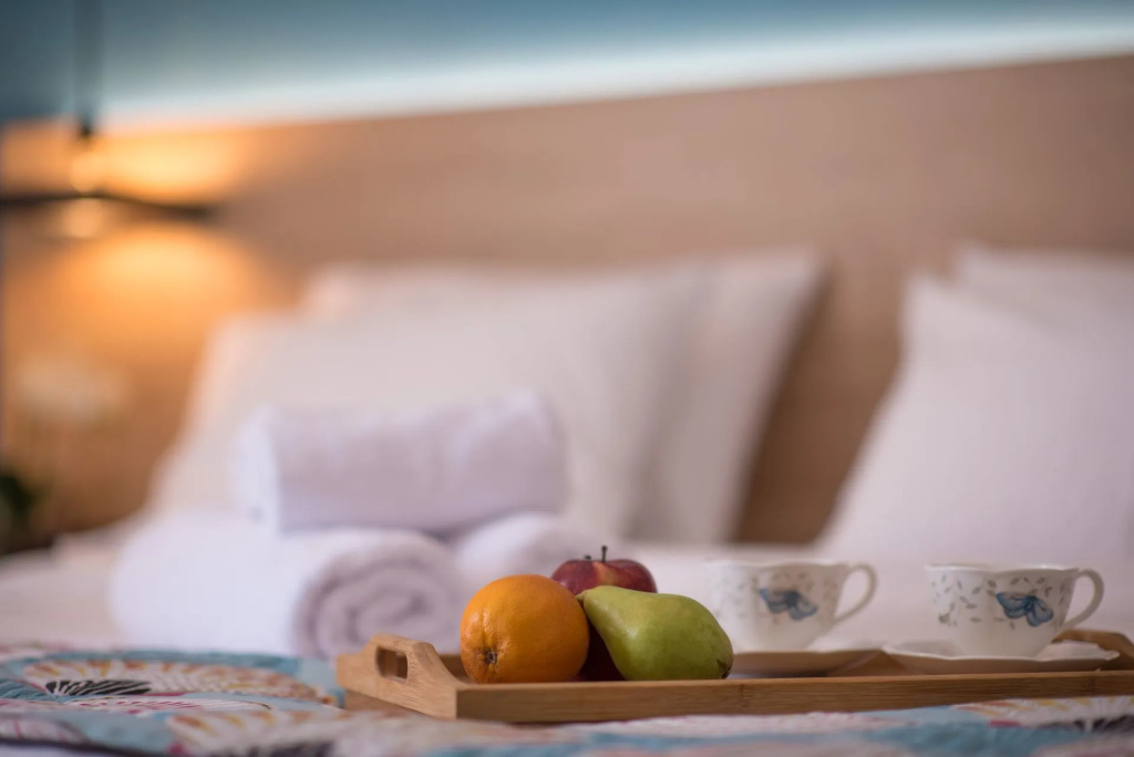 Superior Double room with garden view (full double bed)