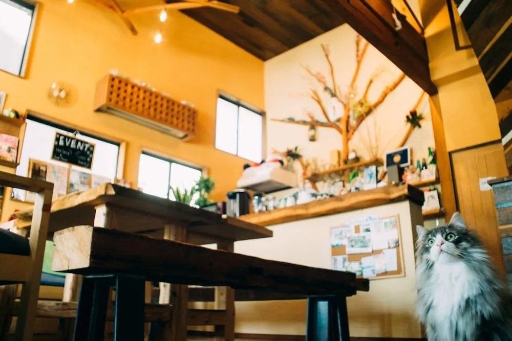 Hida Takayama Guest House Tau Hostel 사진 18