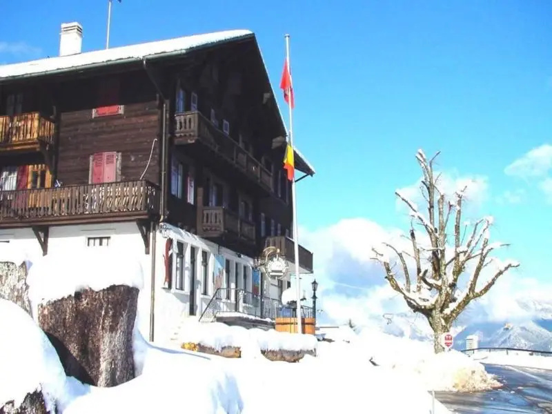 Hôtel de Torgon in Vionnaz