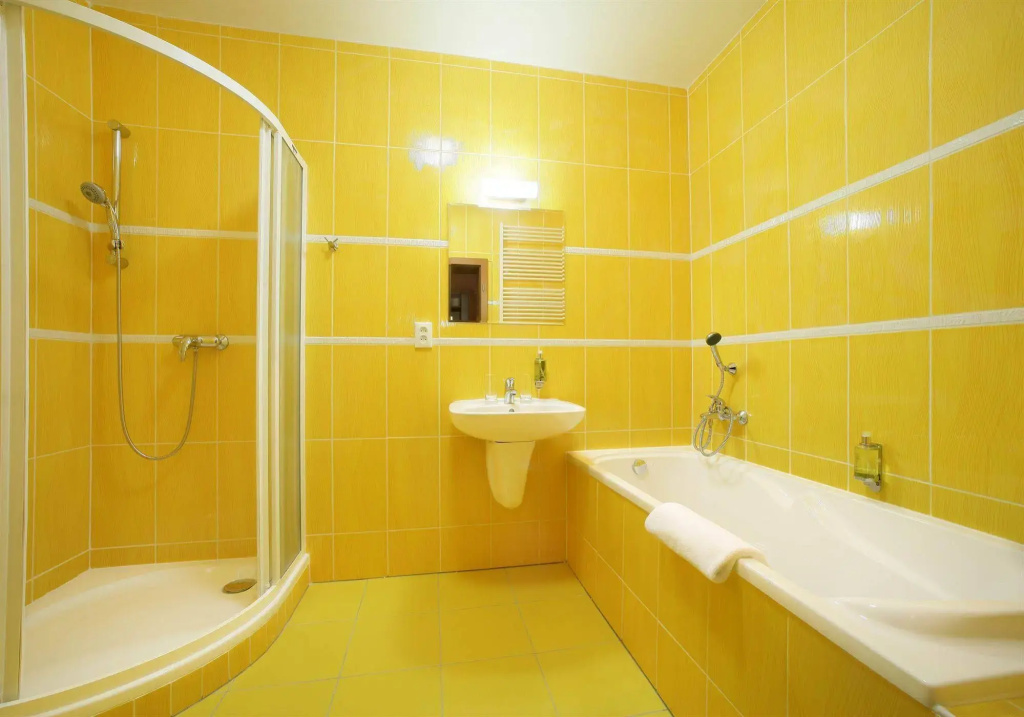 Hotel Záviš z Falkenštejna - Général