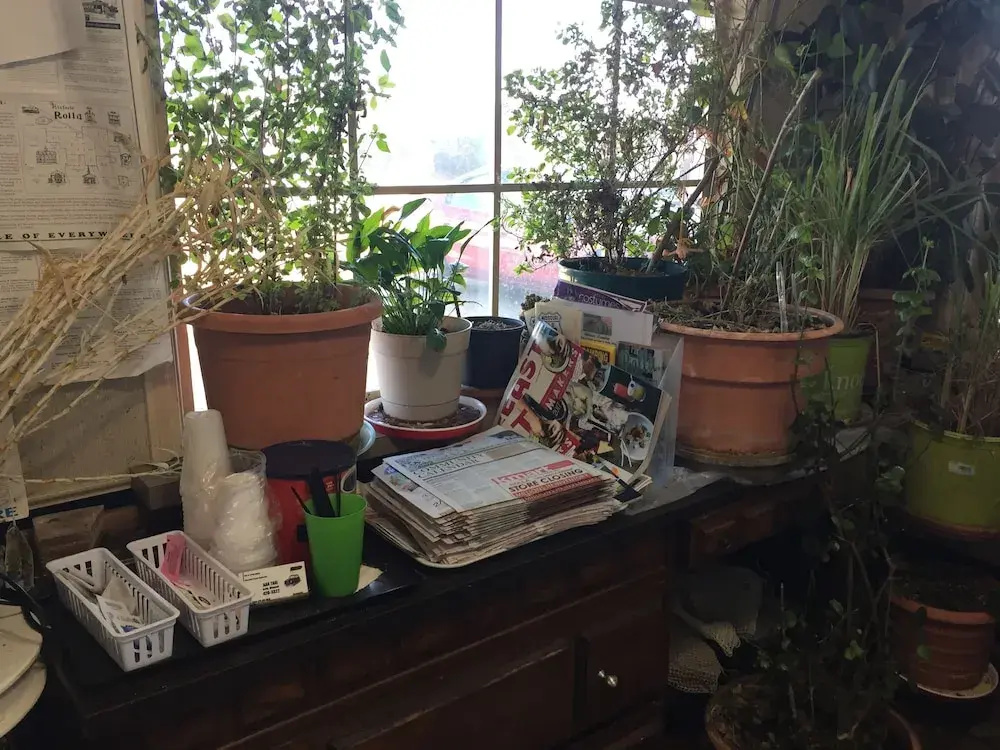 Hotel photo 15