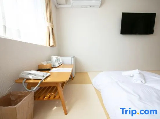 Dotonbori Shinsaibashi Hotel 사진 3