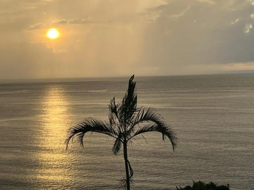 Hotel photo 40