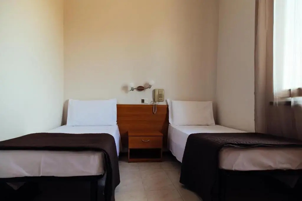 Standard Double room (twin beds)