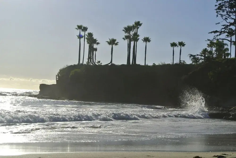 Laguna Shores - Général